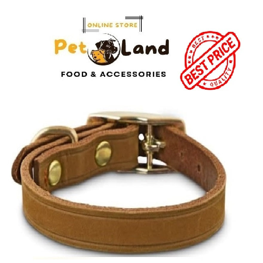 Premium Leather Collar for Dogs