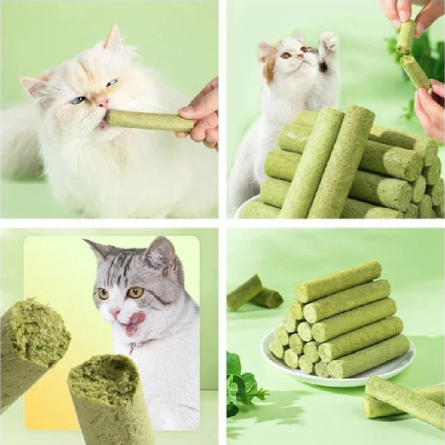 Cat Grass Teething Stick (6 Sticks)