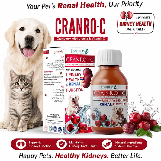 Cranro C Syrup