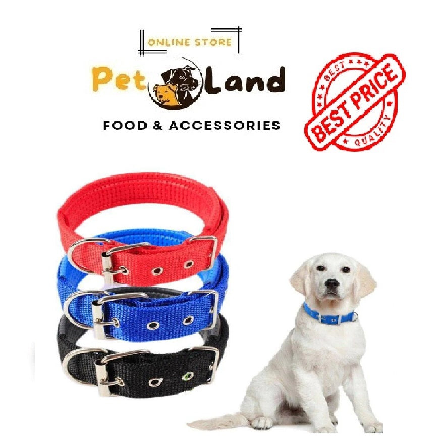 Nylon Collar with Foam for Dogs