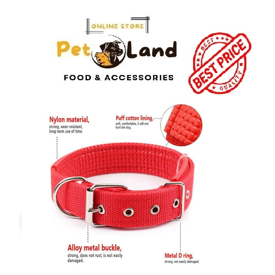 Nylon Collar with Foam for Dogs