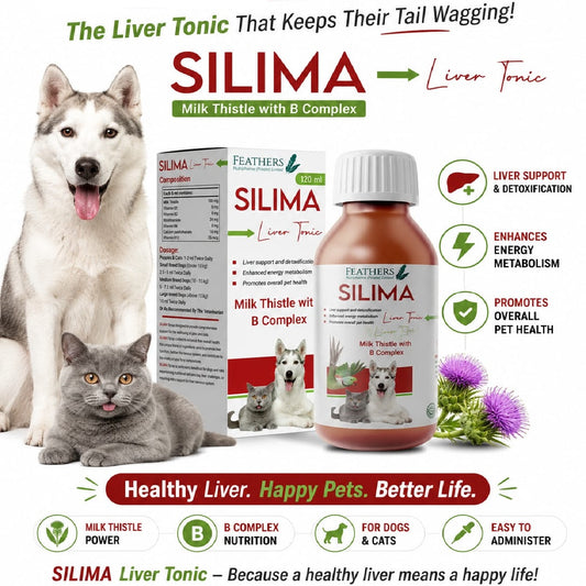 Silima Liver Tonic