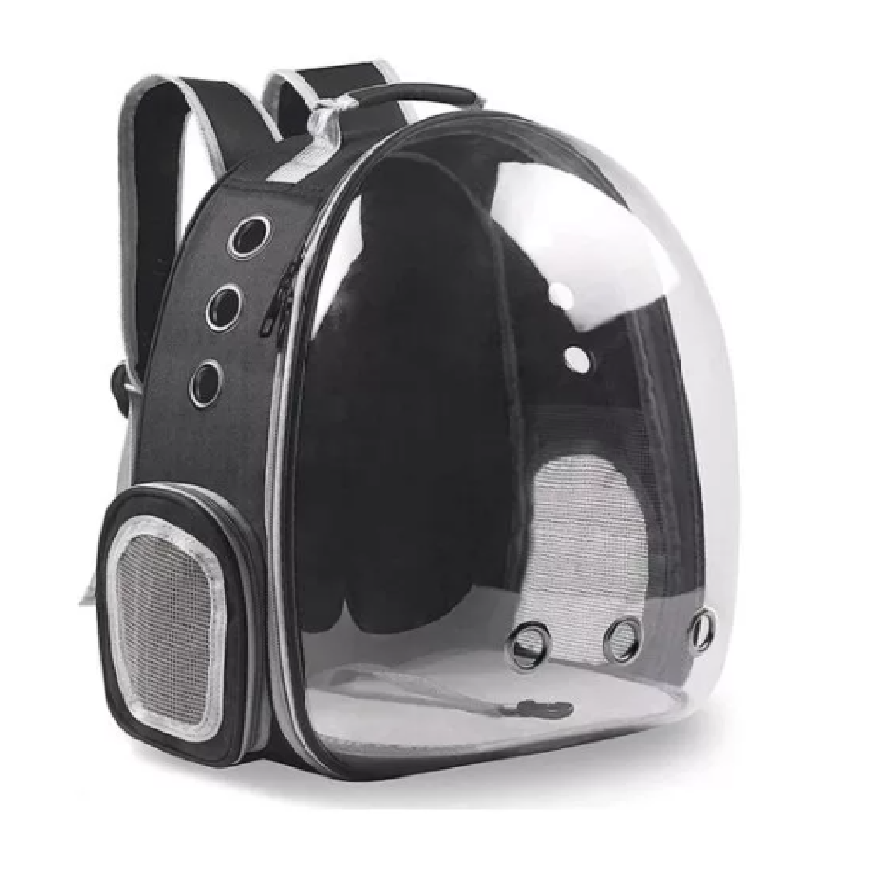 Cat Backpack / Cat Carrying Bag / Transparent Back