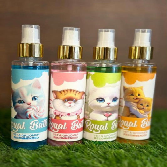 Royal Dry Bath Shampoo 150 ml