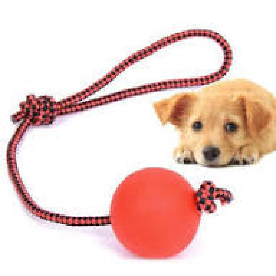 Rope Ball (Playing Ball) For Cats & Dogs